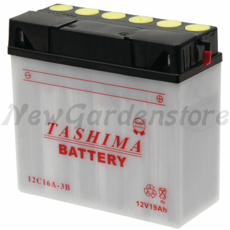 Batteria avviamento elettrico trattorino tagliaerba rasaerba 12V 16Ah  12C16A-3B