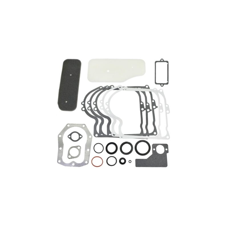 Kit Carburatore Per Tosaerba Briggs & Stratton 3.5-4.5 HP - Include Guarnizioni, Membrane E Lampadina Primer - Foto 5