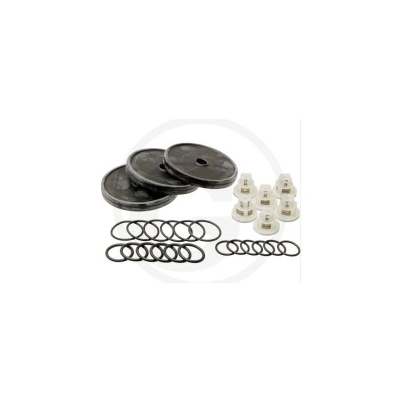 Kit Membrana Per Pompa Iniezione Delphi 4200 E 5400 - Ricambio 14074, 7135-277D - Foto 3