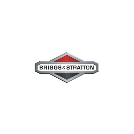 Tappo riempimento olio motore rasaerba BRIGGS & STRATTON 493668
