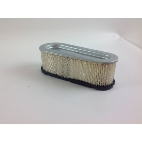 Cartuccia Filtro Aria ORIGINALE Macchina Operatrice GIANNI FERRARI Motore Briggs 68223839