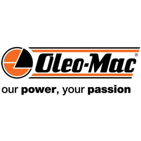 Filtro olio motosega originale OLEOMAC 937 941C GS370 GS41 50170149R