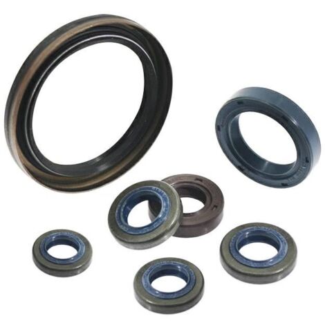 Paraolio trattorino tagliaerba rasaerba tosaerba 7 8 10 11 12 HP BRIGGS 391086