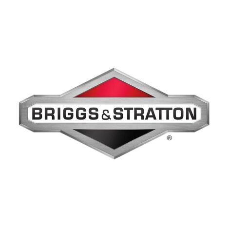 Serie segmenti ORIGINALE BRIGGS & STRATTON 499604