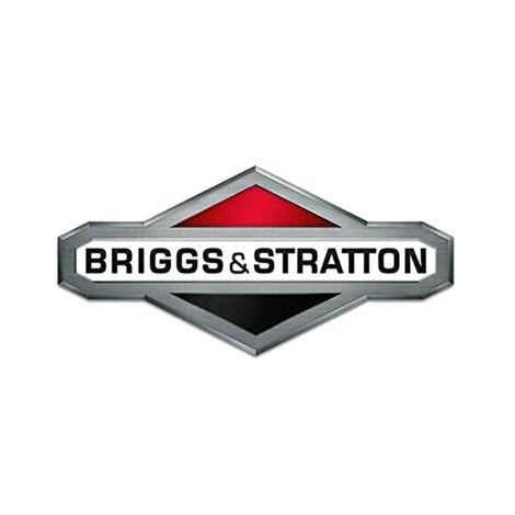 Carburatore Vanguard 16 ORIGINALE BRIGGS & STRATTON 491912