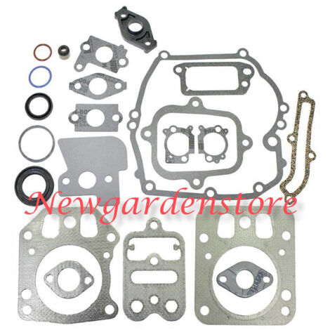 Serie segmenti kit guarnizioni BRIGGS&STRATTON 320040 793284 795442 INTEK 6,5HP