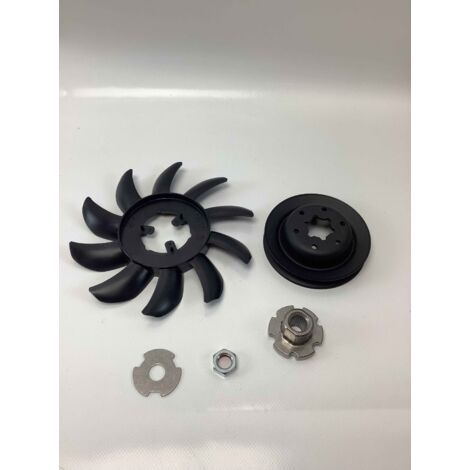 Kit ventola puleggia assale trattorino ORIGINALE GIANNI FERRARI 95598800000 (1/4)