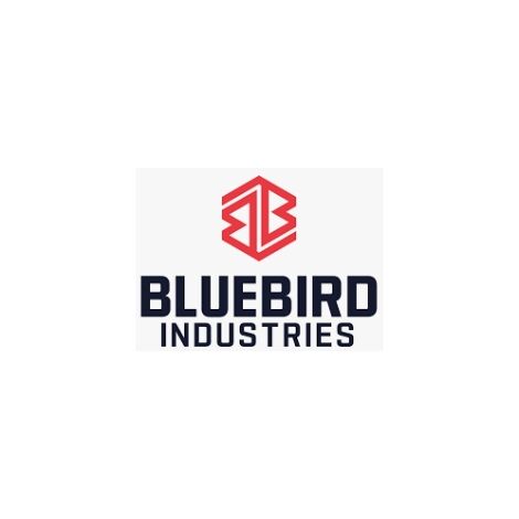 Supporto filtro aria motore BLUEBIRD 1355
