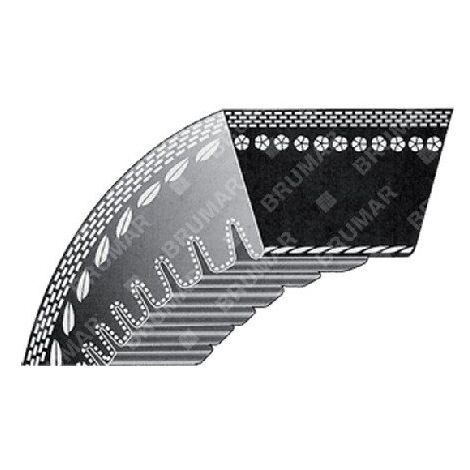 Cinghia TRAPEZOIDALE DENTATA per rasaerba SNAPPER - SIMPLICITY COMPATIBILE - 012655
