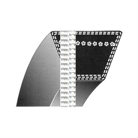 Ratioparts 8-1600DS8M20 - Cinghia Trapezoidale Per Rasaerba, Colore - 4