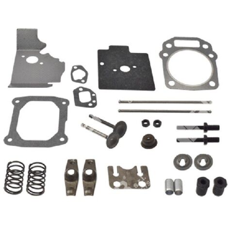Kit Bullone Bilanciere Armonico In Metallo Compatibile Con Ford Edge 2015-2024 2.0 E Altri Modelli - Ricambio 1S7Z6A340AA
