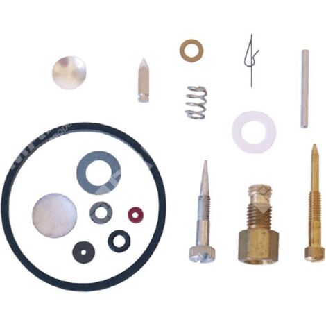 Serbatoio Benzina Plastica Greenstar Per Motori | Compatibile Con Tecumseh/Tecnamotor Serie BV, Sostituisce 16210008, 16210009