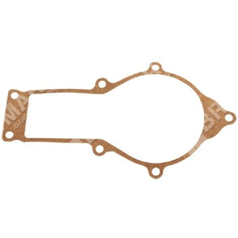 Guarnizione gruppo manovellismo per tagliasiepi MAORI Compatibile - 013239