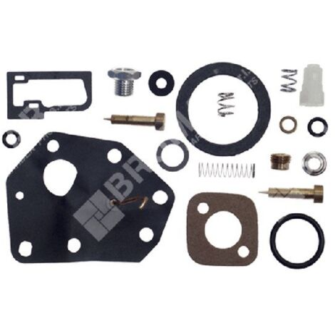 Kit Riparazione per carburatori BRIGGS & STRATTON 494625 COMPATIBILE