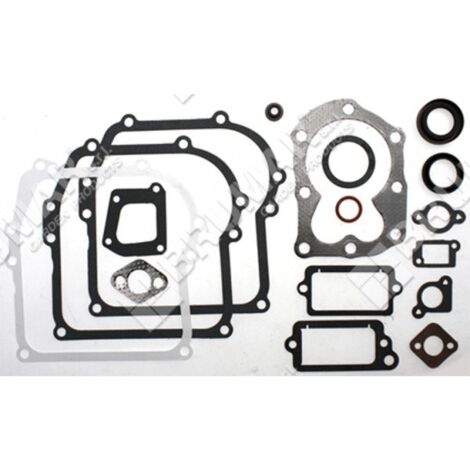 Set guarnizioni per motori BRIGGS & STRATTON 590777 (ex 794209 - 699933) Compatibile - 020201