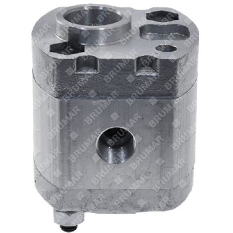 Pistone idraulico spaccalegna wspe3500 COMPATIBILE - 040743