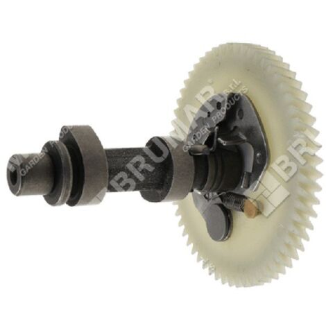 Dorman 697-543 Giogo Pignone Albero Motore In Ghisa Con Guarnizione - Ricambio Auto Specifico