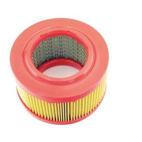 Filtro aria motore rasaerba compatibile HATZ 040 301 00 1D41 1D50 Diesel