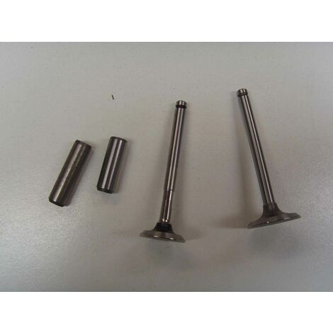 Square1 Kit per valvole Presta, 10 valvole Presta, universalmente compatibili, 1 strumento per la rimozione del nucleo della valvola Presta, 10 tappi per valvole Presta, per pneumatici senza camera