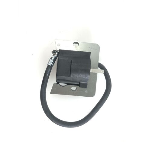 Bobina accensione ASPERA per motori OHV110 180 OV 358EA 490EA 018615 (1/4)