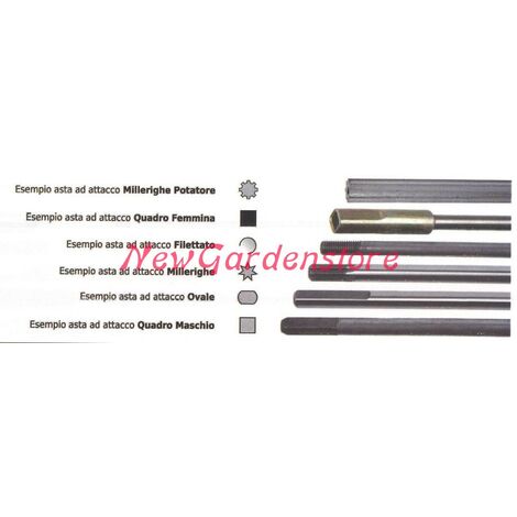 Asta trasmissione interna NEWGARDENSTORE 015948