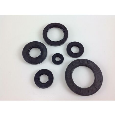 Anelli tenuta paraoli universali per motori per macchine da giardinaggio 11 x 6 x 4