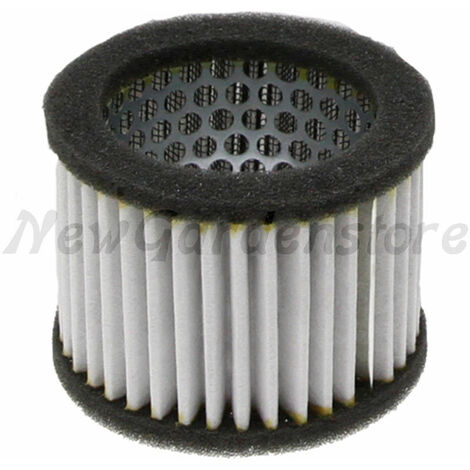 Filtro Aria Beehive Per Honda - 2 Pezzi, Compatibile Con GX140 GX160 GX200 - Foto 9