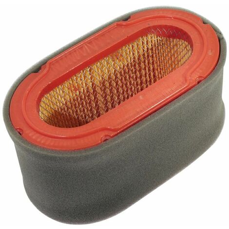 Filtro aria motore trattorino rasaerba tosaerba 2P77F 2P82F LONCIN 180130175-0001