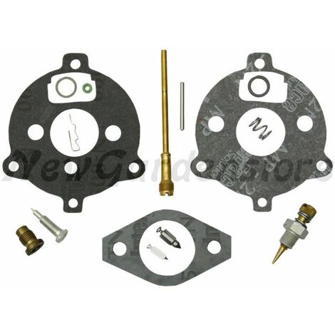Kit revisione carburatore motore BRIGGS & STRATTON 7-9 cv