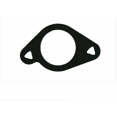 Guarnizione Testa Cilindro Briggs & Stratton 320243 - Ricambio Compatibile Per Motori Quantum
