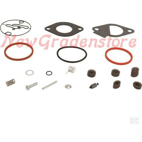 Guarnizioni Vasca Galleggiante Carburatore - Ricambio Per Briggs Stratton E Altri - Foto 5