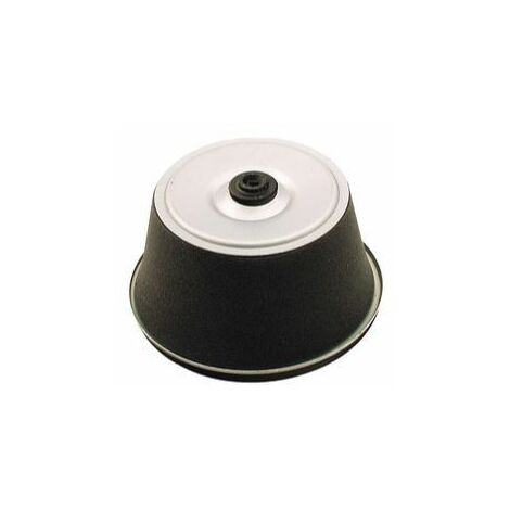 Filtro Aria Per Trattorino Rasaerba Tecumseh &ndash; Modello 23410051 (Centura, Spectra)
