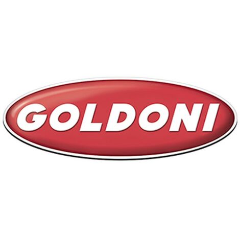 Frizione trattorino tagliaerba modelli F187 02020014 GOLDONI