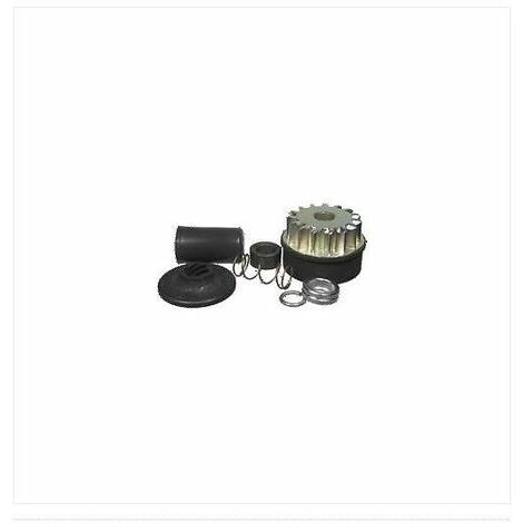 Kit pignone motorino avviamento Vanguard  BRIGGS & STRATTON 496881
