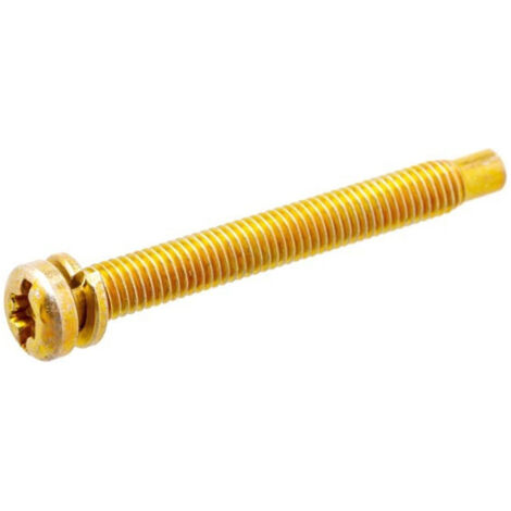 Vite fissante carburatore originale rasaerba tagliaerba BRIGGS & STRATTON 691687