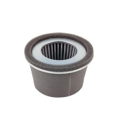 Filtro aria ROBIN per motore rasaerba EH 34 EH34 005034