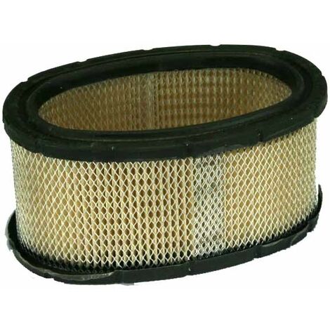 Filtro aria trattorino rasaerba tagliaerba 11HP I/C BRIGGS & STRATTON 393725