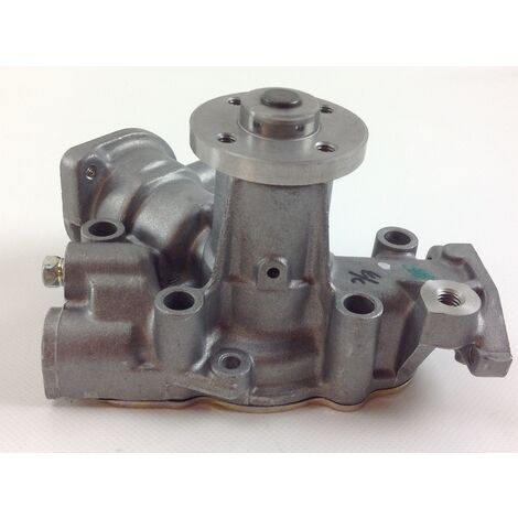 Briggs & Stratton Vergaser (595509, 591852, 793463, 793493) | Gras maaier bladen enzo