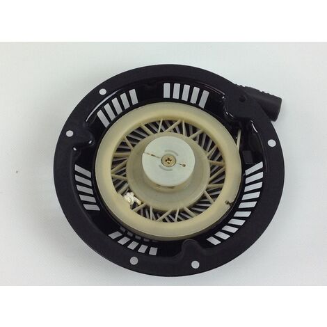 Messa in moto DAYEE motore rasaerba tagliaerba tosaerba DY 21SQ 027724 (1/4)