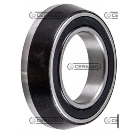 Cuscinetto a rullini 13mm OD 22mm ID 10mm INA