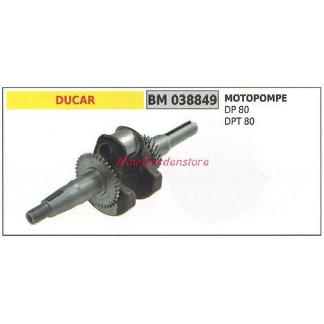 Albero motore DUCAR motore motopompa DP 80 DPT 80 038849