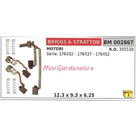 Kit spazzole motori elettrici briggs&stratton motore serie 176432 176437 002867