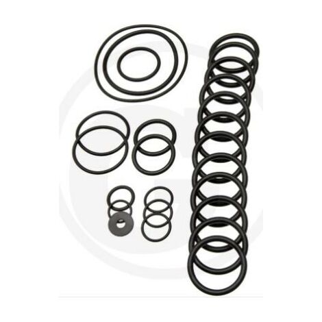 Kit o-ring per pompa a membrana AR560 bp Twin C/C ANNOVI 6702431