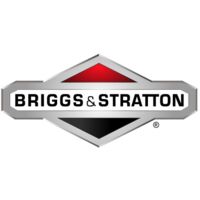Rondella trattorino tagliaerba rasaerba 1401102MA BRIGGS & STRATTON