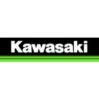 Ricambi ORIGINALI KAWASAKI motore TJ27 TJ35 TJ45 TJ53 TH26 TH34 TH43 TH48 TH-34 - Puleggia avviatore
