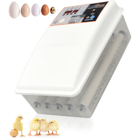 INCUBATRICE 24 UOVA TUTTE LE SPECIE AUTOMATICA GALLINA OCA QUAGLIA SPERA UOVA LED