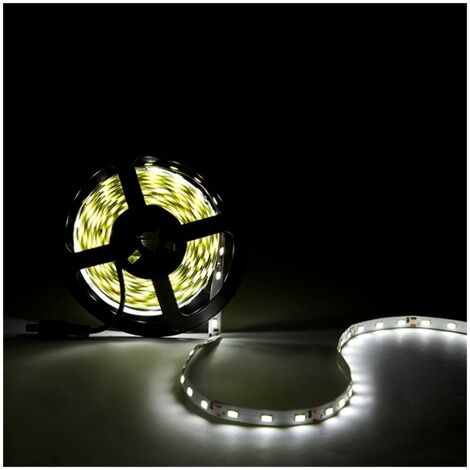 Striscia di 300 LEDs 80W 4136Lm CRI85 3000ºK SMD5630 12VDC x5M 40.000H  [CA-PL219009-WW]-Bianco Caldo