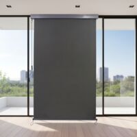 Estor lateral estor de balcón persiana enrollable 160x250CM antracita protección contra el viento protección solar protección de privacidad