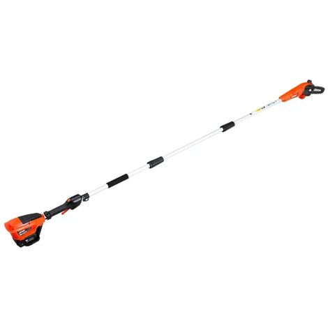 Potatore con asta Echo DPPF-310 barra 20cm senza batteria e carica