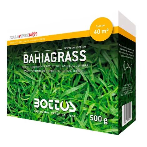 Sementi Paspalum notatum Bahiagrass Bottos 500gr prato rustico e chiaro
